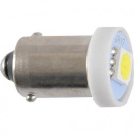   Tempest T8-03 1LED BA9S 12V WHITE TP-241T8-12V