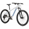 Kona Fire Mountain 27.5" 2023 / рама 47см Matte Faux Raw (B36FMS05) - зображення 1