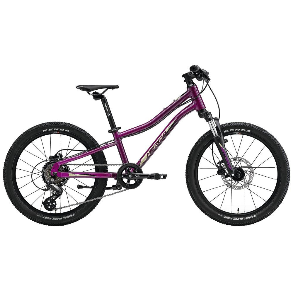 Merida Matts J.20 2022 / рама 10" purple - зображення 1