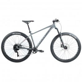   Cyclone SLX Pro Trail 2 29" 2022 / рама 45,5см серый (22-306)