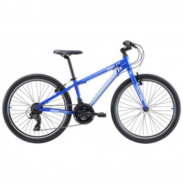   Reid Viper 24” 2021 / рама 12" Blue (1200264024)