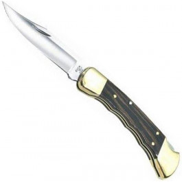   Buck Folding Hunter (110BRSFGB)