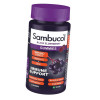 Sambucol Immuno Forte + Vitamin C + Zinc 30 жел - зображення 2