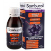 Sambucol Immuno forte + Vitamin C + Zink 120 мл - зображення 2