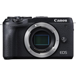   Canon EOS M6 body