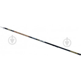   Fishing ROI Bolognese Cyclone (4.00m 10-30g)