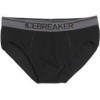 Icebreaker Anatomica Briefs M XL - зображення 1