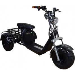    Renegade Tricycle 1500