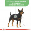 Royal Canin Mini Digestive Care 3 кг (2447030) - зображення 10