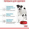 Royal Canin Mini Starter 8 кг (2990080) - зображення 5