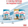 Royal Canin Mini Starter 8 кг (2990080) - зображення 7