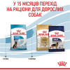 Royal Canin Maxi Puppy 15 кг (30061501) - зображення 3