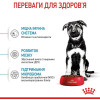 Royal Canin Maxi Puppy 15 кг (30061501) - зображення 7