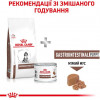 Royal Canin Gastro Intestinal Junior Canine 2,5 кг (3957025) - зображення 4