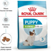 Royal Canin X-small Adult 3 кг (1003030) - зображення 2