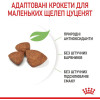 Royal Canin X-small Adult 3 кг (1003030) - зображення 3