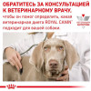 Royal Canin Gastro Intestinal Canine 2 кг (3911020) - зображення 3