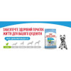 Royal Canin X-small Adult 3 кг (1003030) - зображення 6