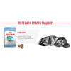 Royal Canin X-small Adult 3 кг (1003030) - зображення 9