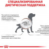 Royal Canin Gastro Intestinal Canine 2 кг (3911020) - зображення 7