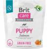 Brit Care Grain-free Puppy Salmon 1 кг (172193) - зображення 1