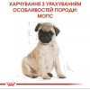 Royal Canin Puppy Pug 1,5 кг (4130015) - зображення 3