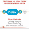 Royal Canin Puppy Pug 1,5 кг (4130015) - зображення 7