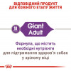 Royal Canin Giant Adult - зображення 3