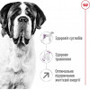 Royal Canin Giant Adult - зображення 9