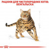 Royal Canin Bengal Adult 2 кг (4370020) - зображення 3