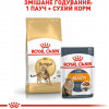 Royal Canin Bengal Adult 2 кг (4370020) - зображення 7