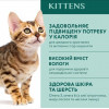 Optimeal для котят с курицей 85 г (4820083905452) - зображення 3