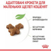 Royal Canin Kitten 4 кг (2522040) - зображення 5