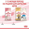 Royal Canin Kitten 4 кг (2522040) - зображення 7