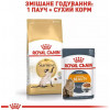 Royal Canin Siamese Adult - зображення 3