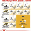 Royal Canin Siamese Adult - зображення 7