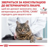 Royal Canin Urinary S/O Moderate Calorie 0,4 кг - зображення 9