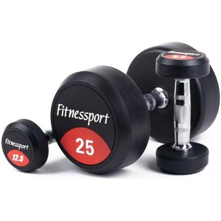 Fitnessport 2.5-25кг 10 пар 275 кг (FDS-21 2,5/25kg) - зображення 1