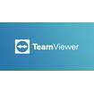 TeamViewer Upgrade from Business Subscription to Corporate Subscription (SS321-S312) - зображення 1