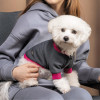 Pet Fashion Товстівка для собак  «Bim» XS (PR243028) - зображення 4