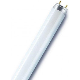   Osram L18W/76 G13 (4050300010519)