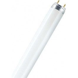   Osram T8 L 36W/765 G13 (4008321959836)