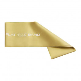   4FIZJO 4FJ0099 Flat Band 200х15 cм 15-25 кг Silver (P-5907739310446)