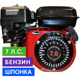   Зубр 170F