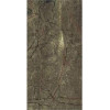 Kutahya Rain Forest Rectified Polished Nan 60 X 120 Плитка - зображення 1