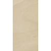 Paradyz Rockstone Beige Gres Rectified Matt 29, 8x59, 8 - зображення 1