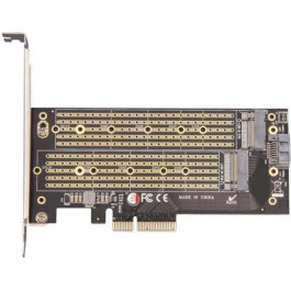   Frime ECF-PCIE2.4sRAID002.LP