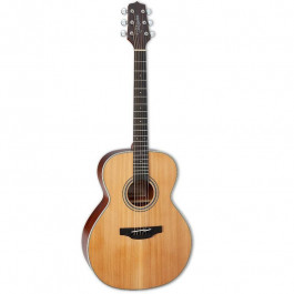   Takamine GN20 NS