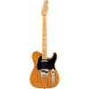 Fender AMERICAN PRO II TELECASTER MN ROASTED PINE - зображення 1