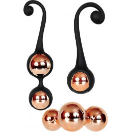   Adam Eve INTIMATE PLEASURE KEGEL SET (T840171)